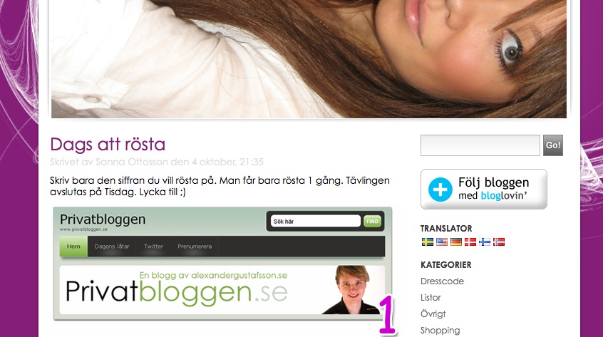 Rösta på Privatbloggen!