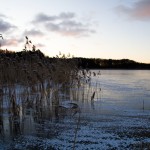 Skridskoåkning på Landsjön med familjen Skridskoåkning på Landsjön med familjen