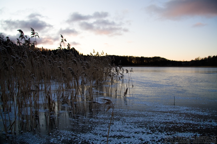 Året 2009, som jag minns det.
