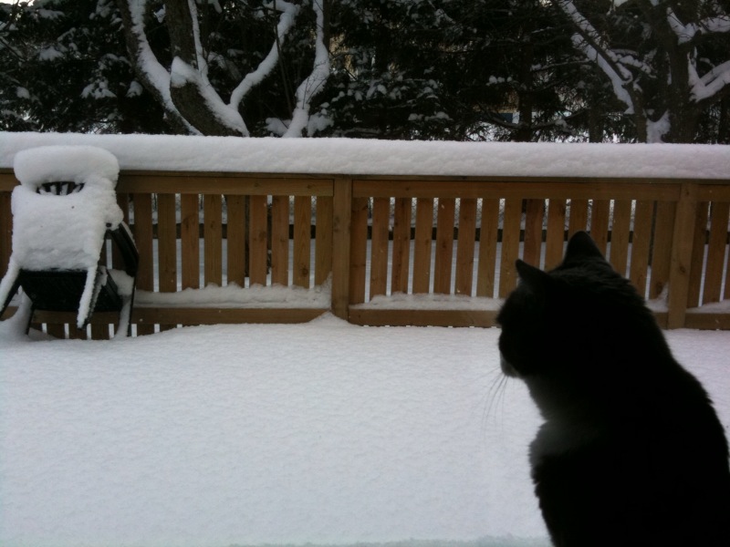 Snö, snö och åter snö…